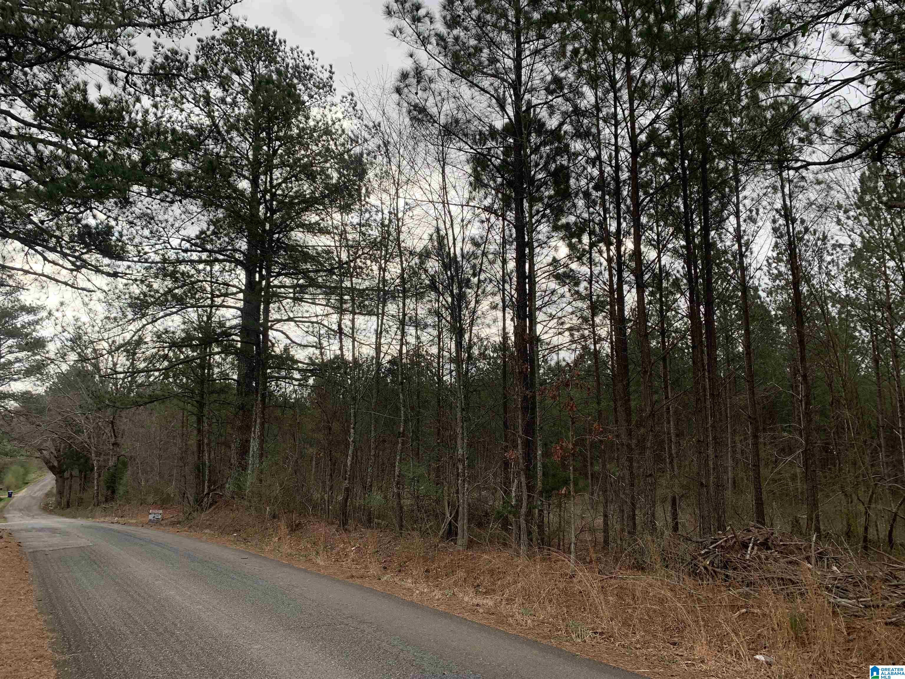 Shady Glen Road, Unit 50 91 Anniston, AL 36201 - Photo 5 of 15