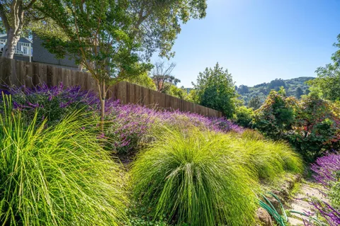 $5,995,000 | 475 Molino Avenue, Mill Valley, CA 94941
