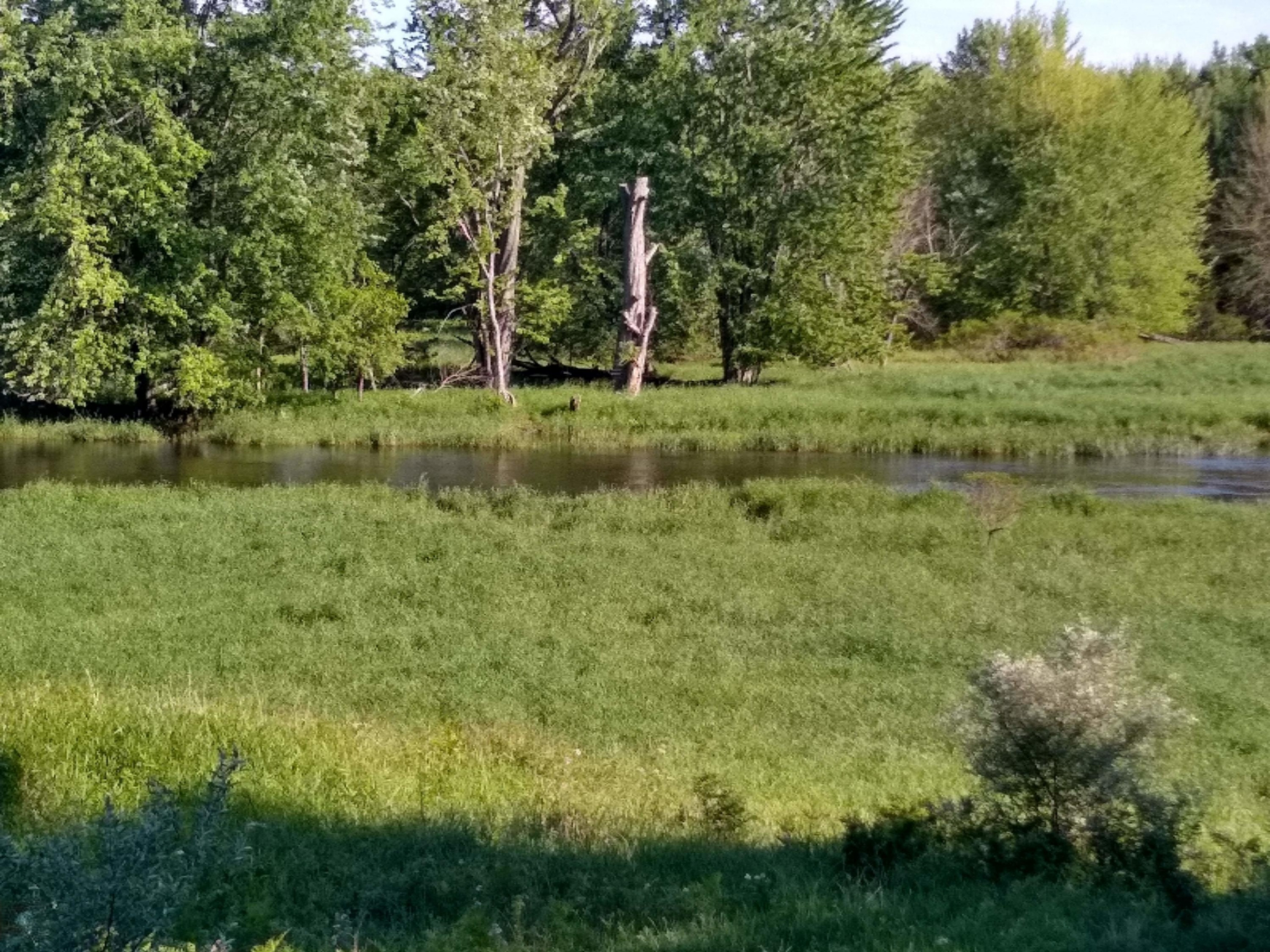 4049 West Conrad Road Ludington, MI 49431 - Photo 2 of 33 IMG_20200612_183603698_HDR