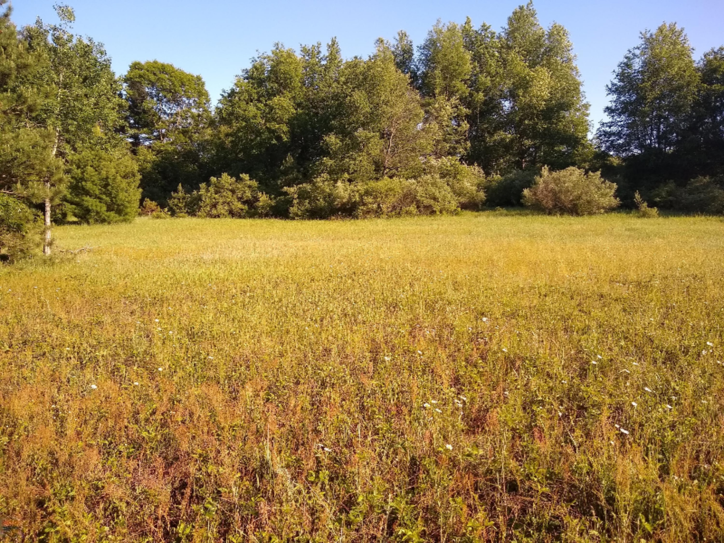 4049 West Conrad Road Ludington, MI 49431 - Photo 28 of 33 IMG_20200612_184329541