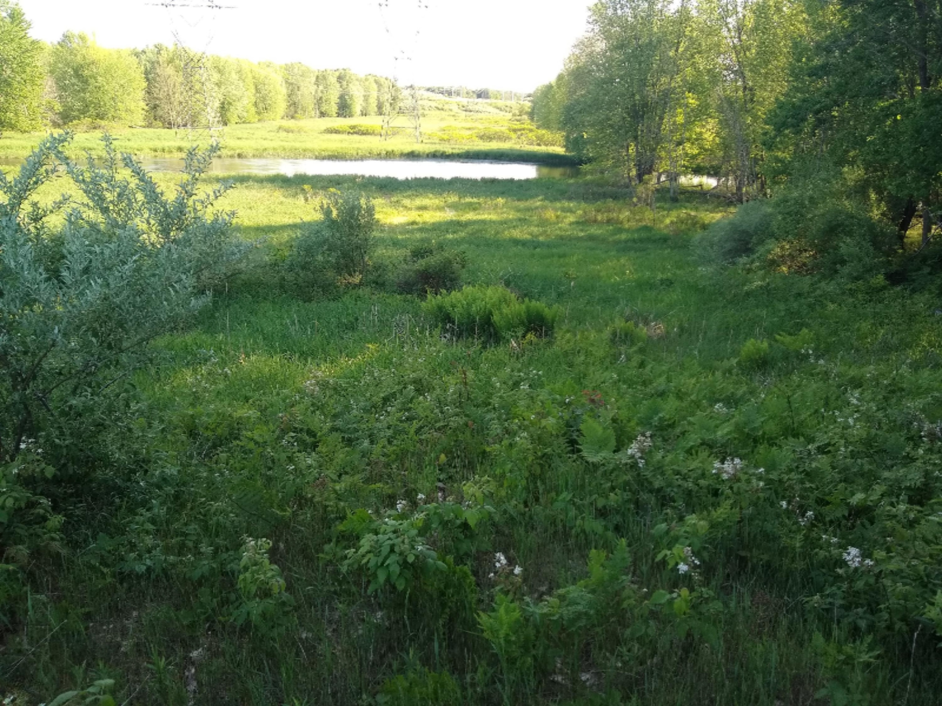 4049 West Conrad Road Ludington, MI 49431 - Photo 29 of 33 IMG_20200612_183513857