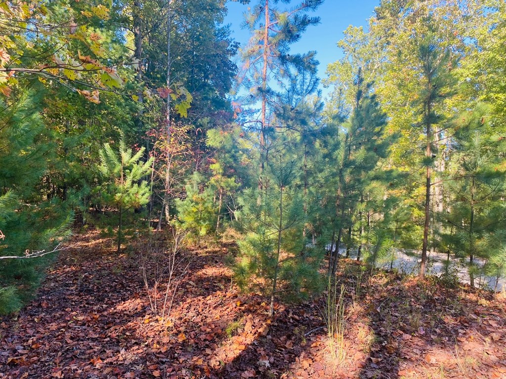 Lot 34 Point Overlook Trail Murphy, NC 28906 - Photo 7 of 17