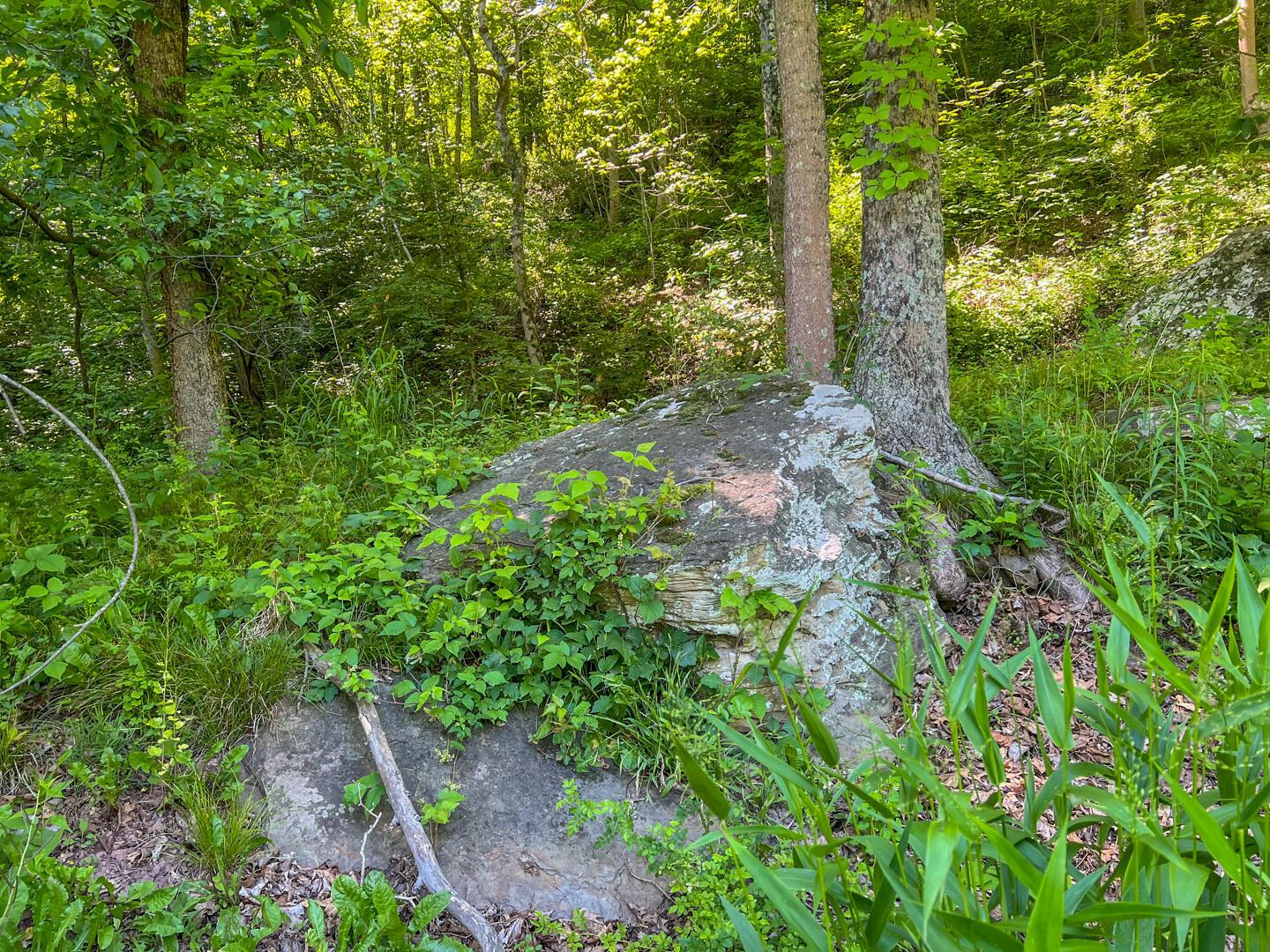 0 Rush Run Road Rayland, OH 43943 - Photo 19 of 24