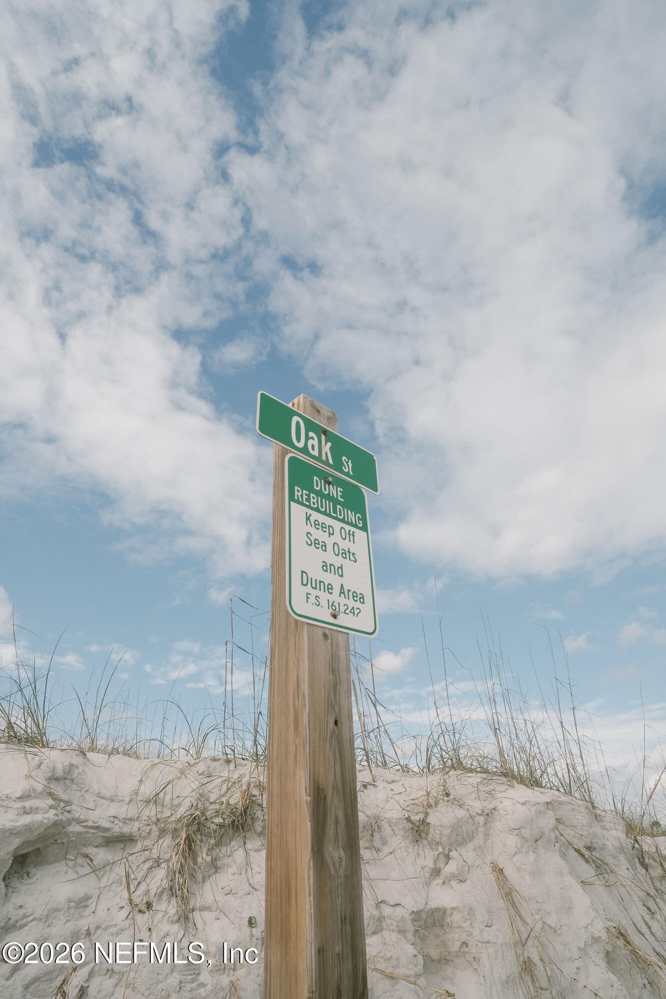 212 Oak Street Neptune Beach, FL 32266 - Photo 19 of 43 IMG_0728