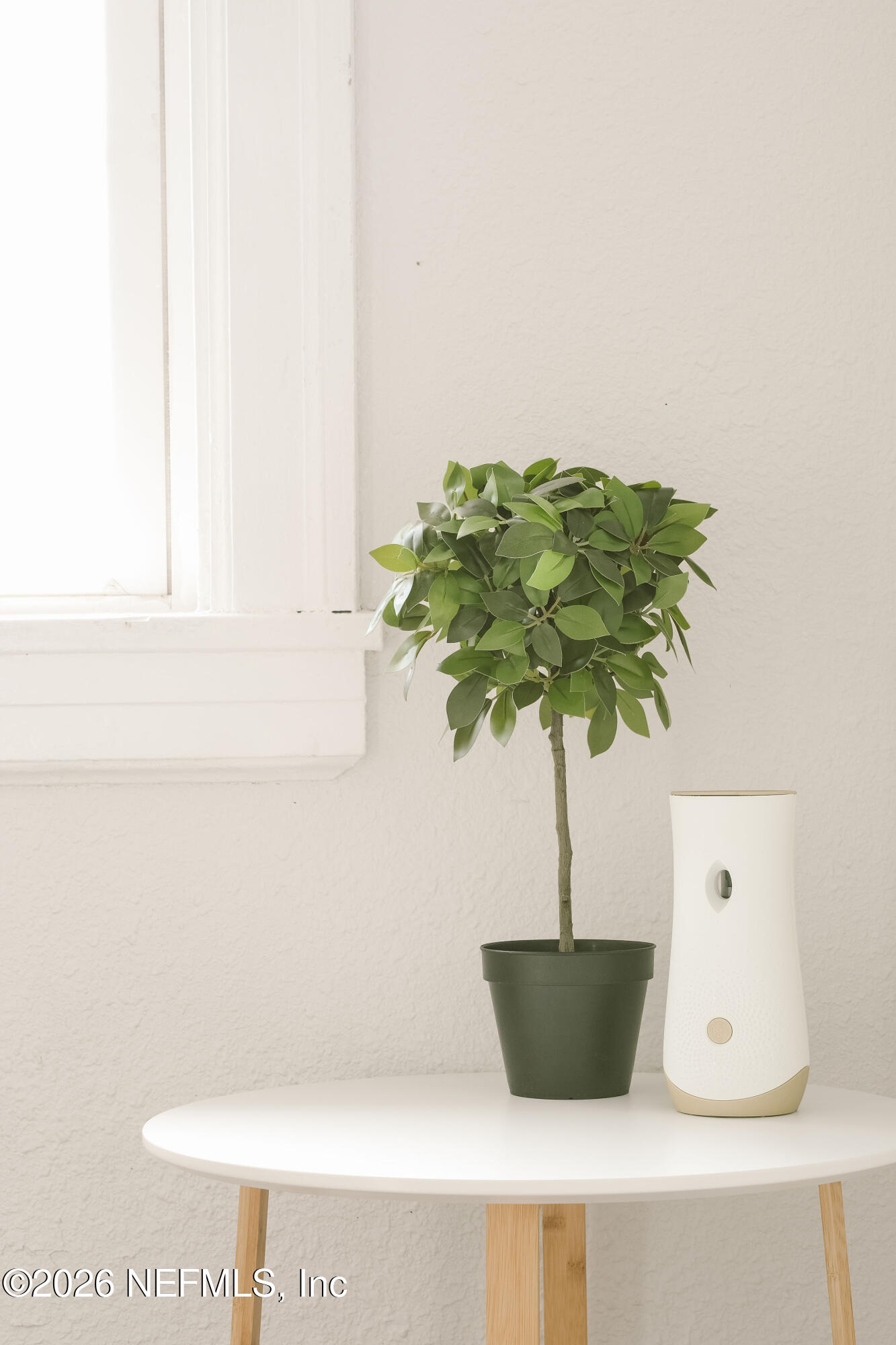 212 Oak Street Neptune Beach, FL 32266 - Photo 3 of 43 a vase of flowers sitting on a table