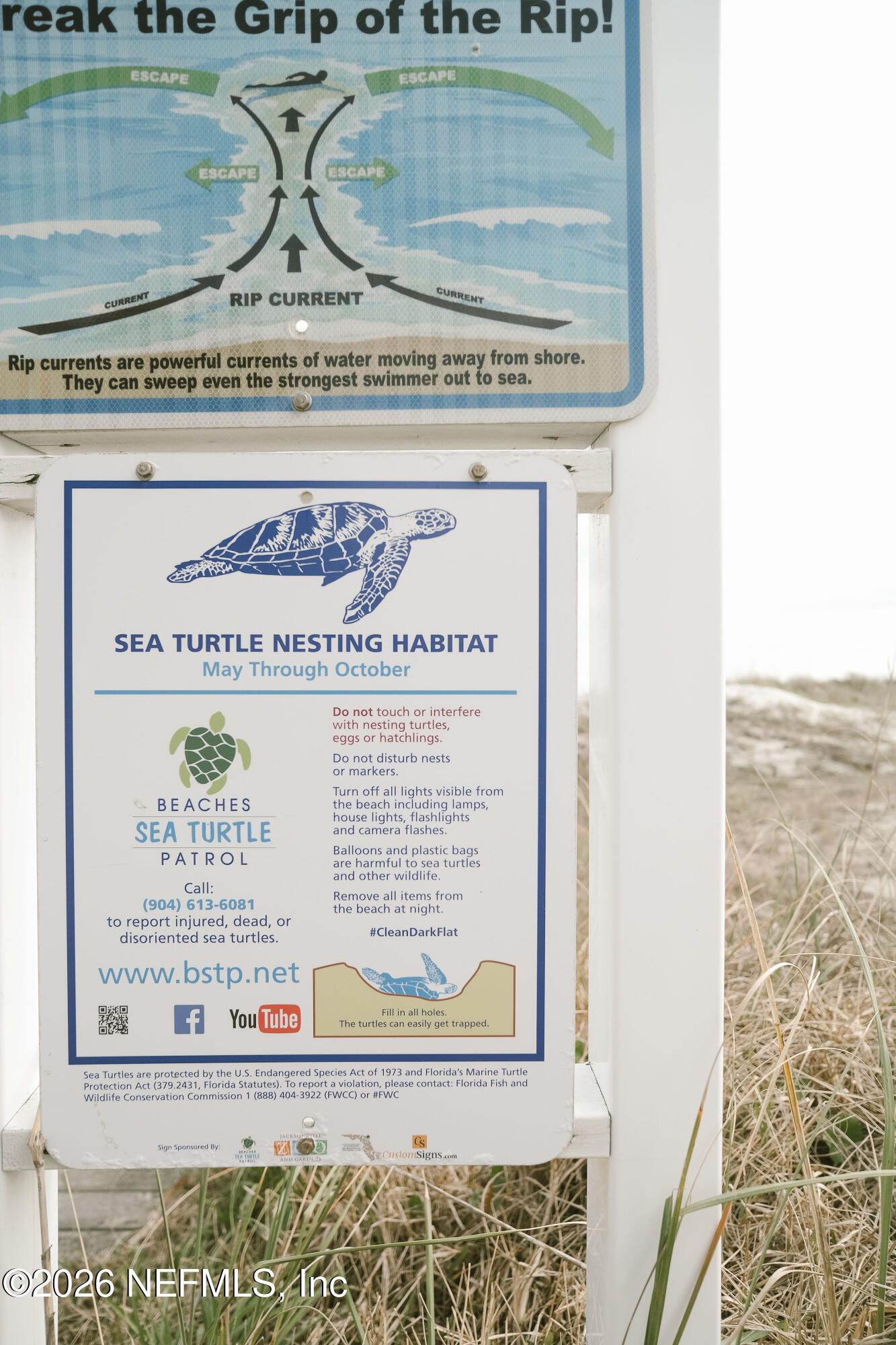 212 Oak Street Neptune Beach, FL 32266 - Photo 31 of 43 IMG_0745