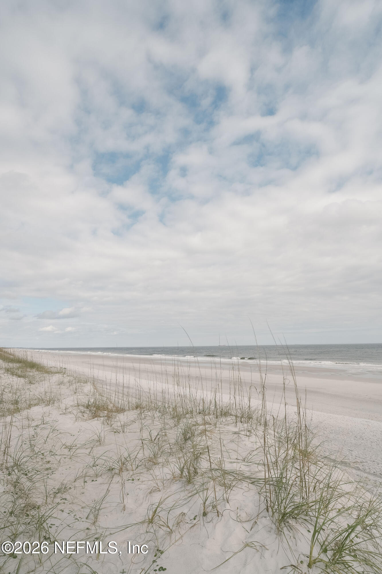 212 Oak Street Neptune Beach, FL 32266 - Photo 42 of 43 IMG_0758