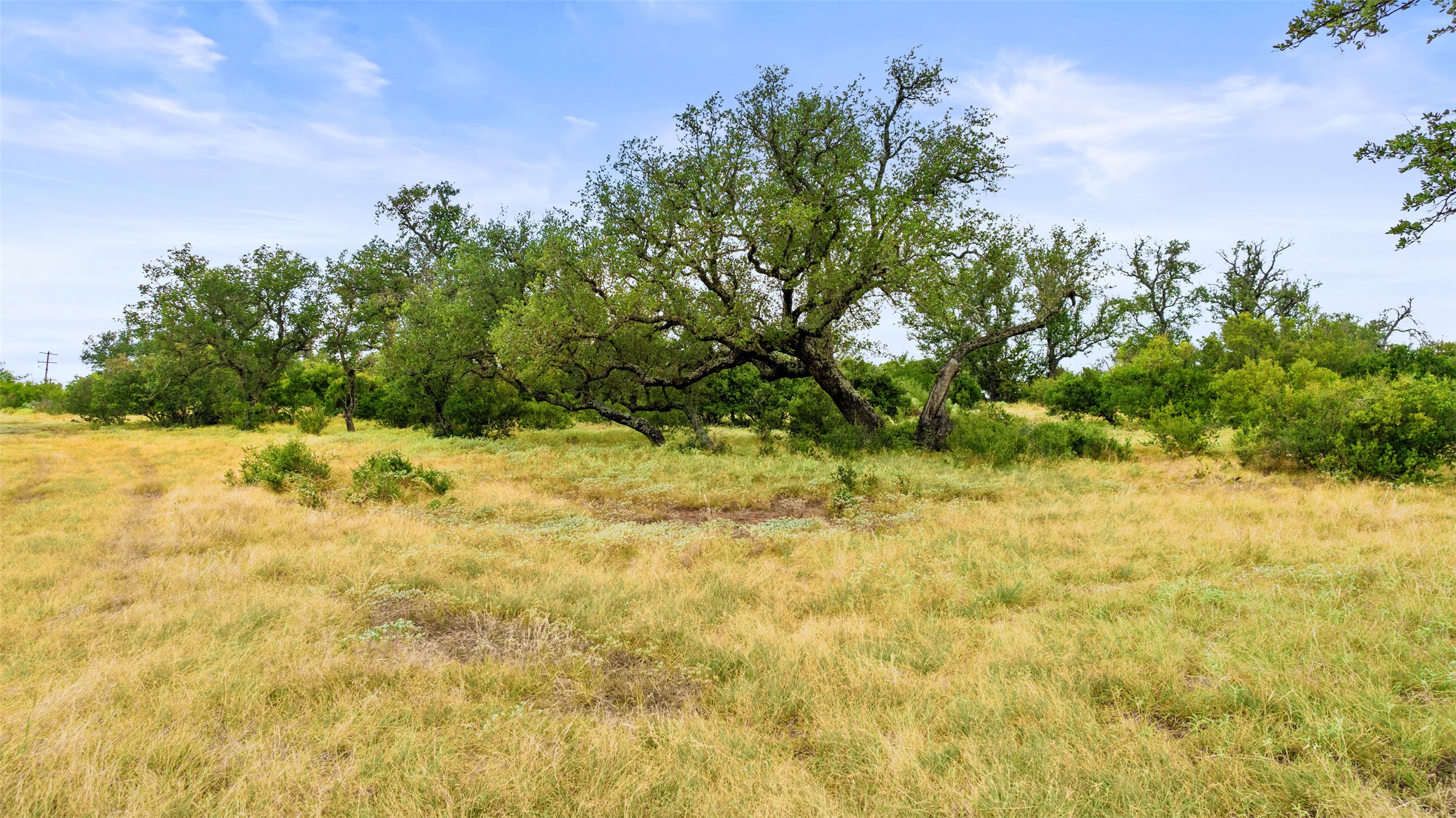 Lot 37 Vista Rdg Drive Round Mountain, TX 78663 - Photo 21 of 30 View of undeveloped land featuring rural landscape
