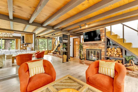 a living room filled with lots of potted plants