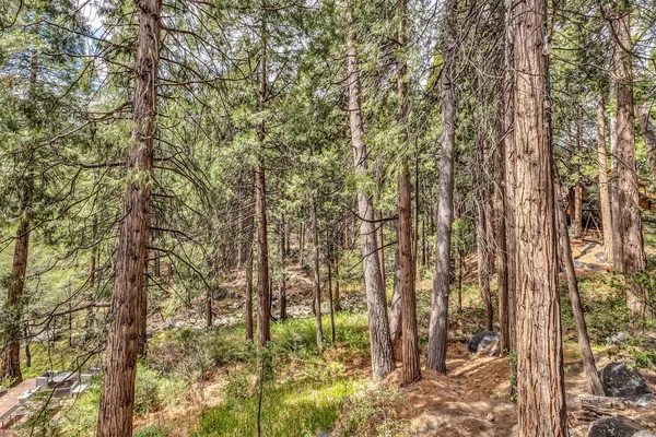 $675,000 | 25655 Tahquitz Drive, Idyllwild, CA 92549