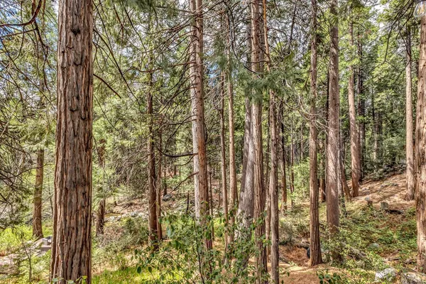 $675,000 | 25655 Tahquitz Drive, Idyllwild, CA 92549