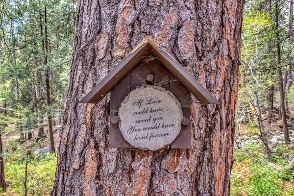 $675,000 | 25655 Tahquitz Drive, Idyllwild, CA 92549