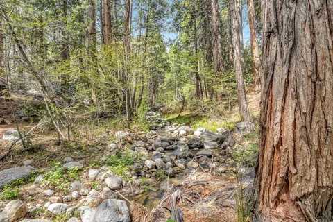 $675,000 | 25655 Tahquitz Drive, Idyllwild, CA 92549