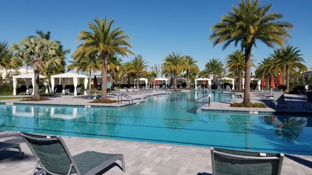 a view of a yard and a palm tree