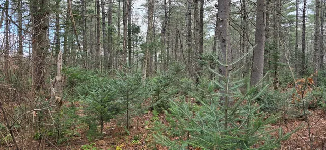 $95,000 | R7 Map Road, Solon, ME 04979