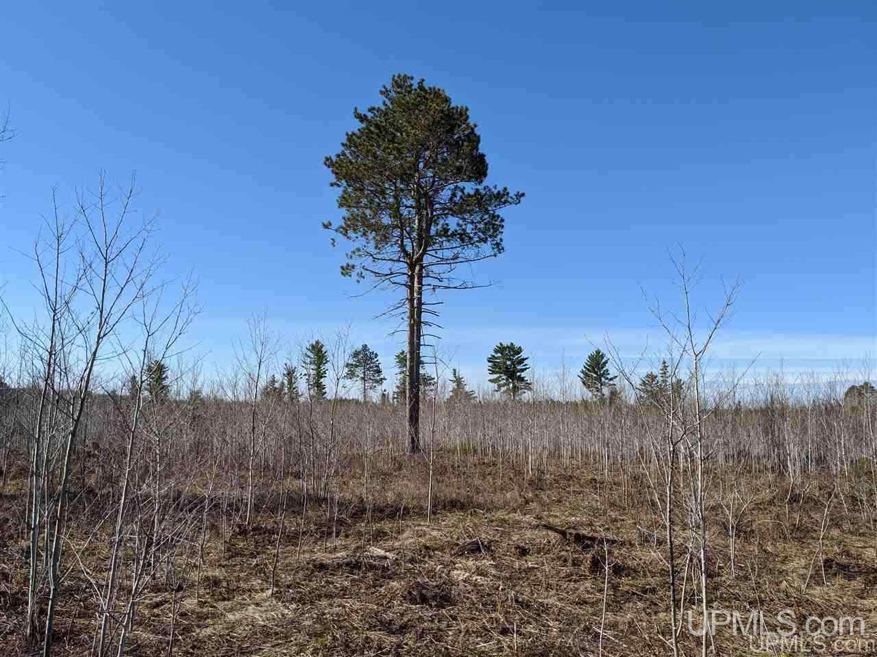 2 Little Bull Road, Unit S1/2NW1/4 Crystal Falls, MI 49920 - Photo 6 of 10