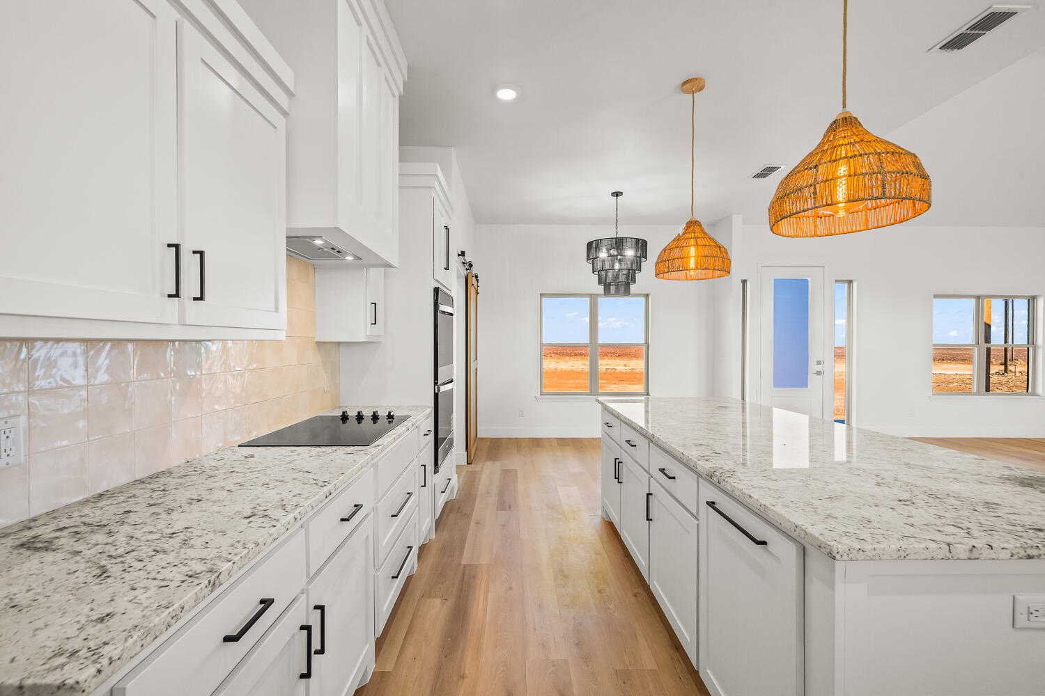 4084 Hawk Road Ropesville, TX 79358 - Photo 41 of 48 4084 Hawk Road Ropesville-42