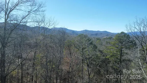 a view of a mountain range with trees in the background