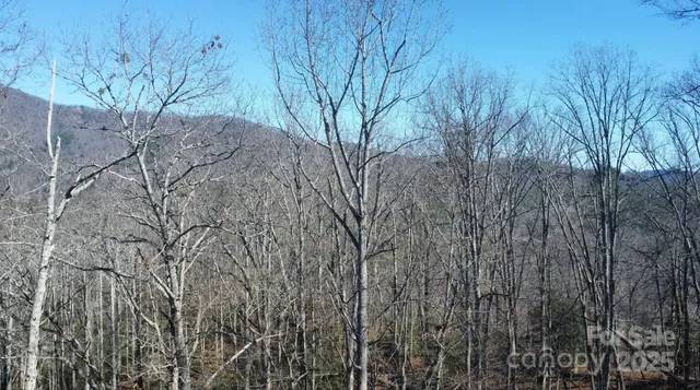 a view of a mountain range with trees in the background
