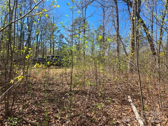 a view of a yard with trees