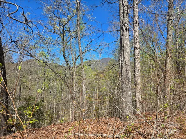 a view of with green trees
