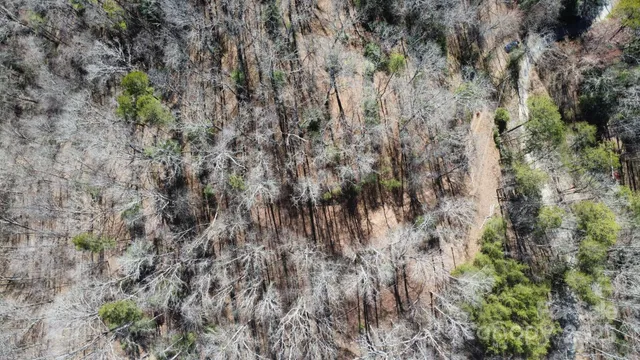 a view of small space with a trees