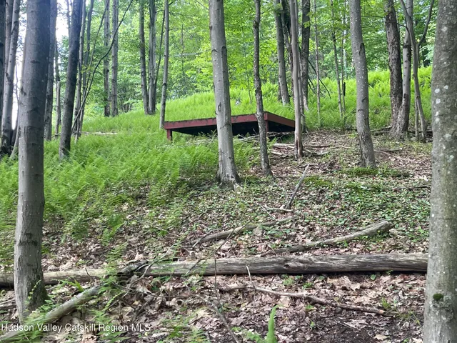 a view of backyard with green space