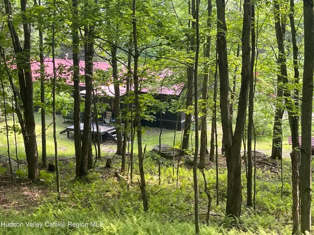 a backyard of a house with lots of green space and fountain in the back