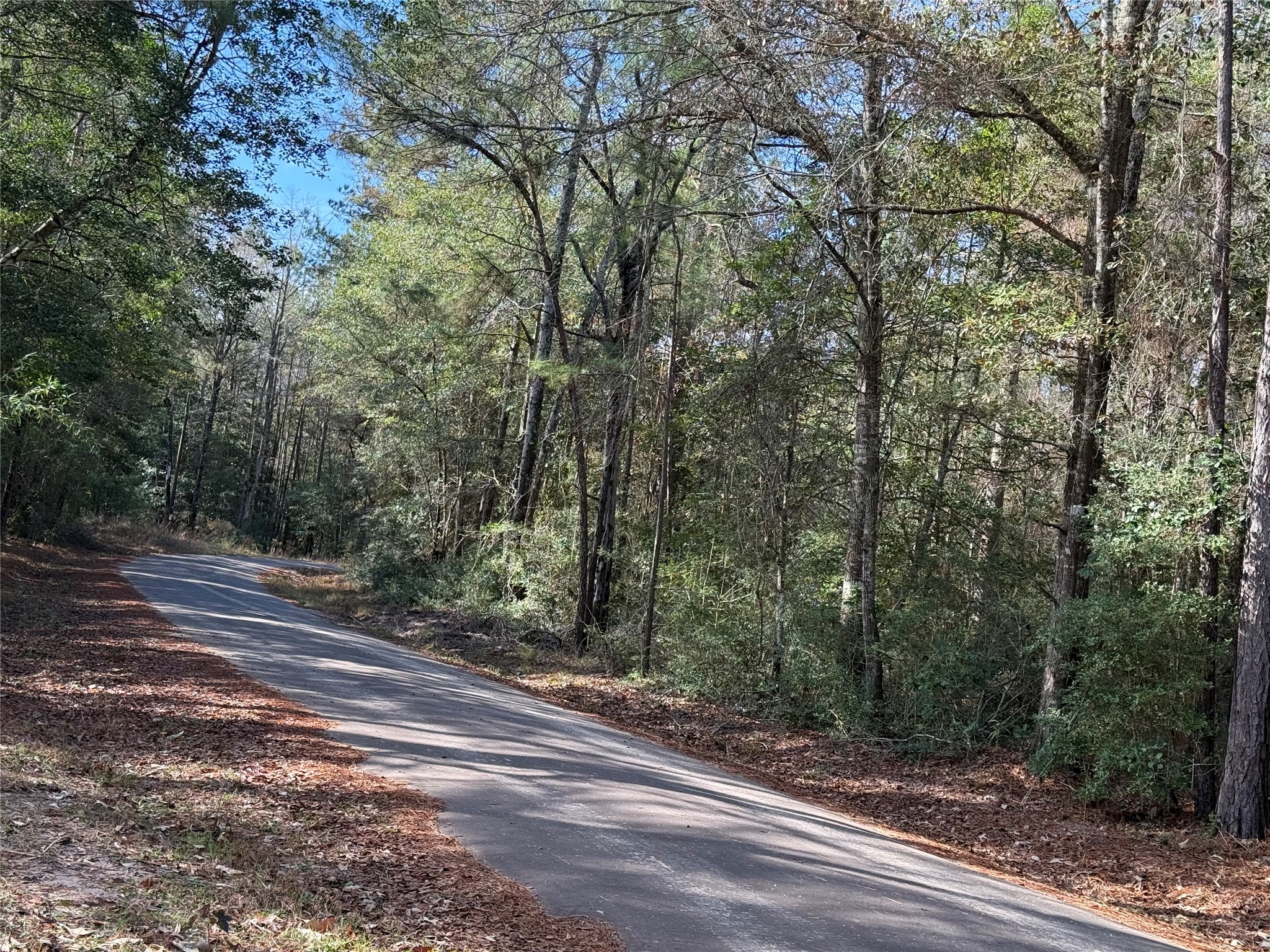 Lot 2 John Keely Road Zavalla, TX 75980 - Photo 4 of 9 a view of a yard with a trees