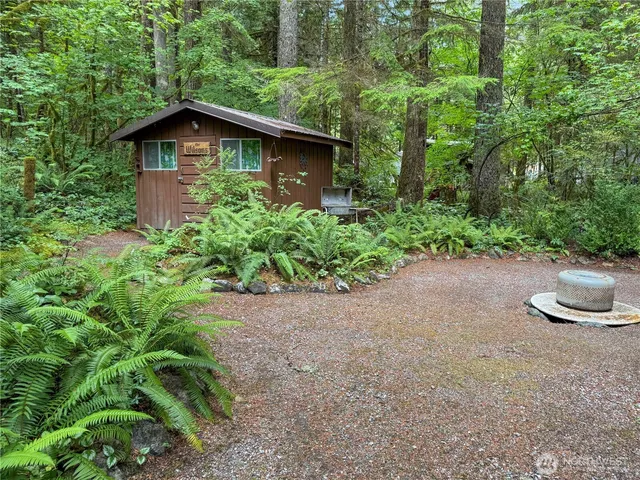 a view of a backyard with plants and large trees