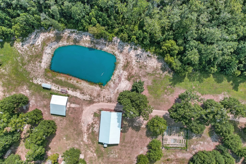 2480 South Springhill Road Gordon, AL 36343 - Photo 72 of 114