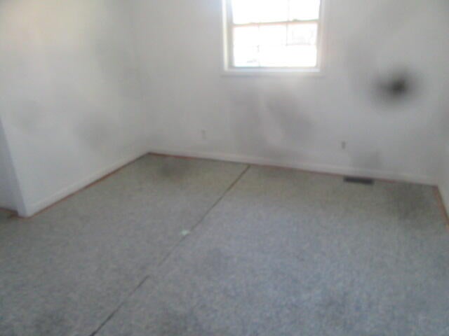 11827 South Stephan Bridge Road Roscommon, MI 48653 - Photo 10 of 12 Gallery Image 10