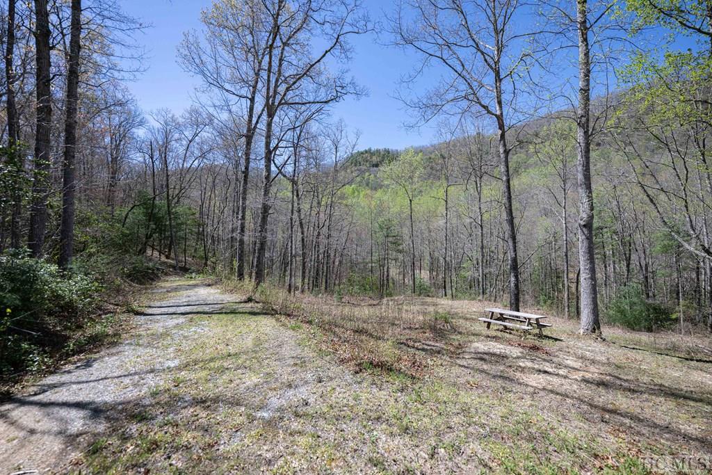 Lot 21 Pilot Knob Road Tuckasegee, NC 28783 - Photo 5 of 29 Gallery Image 5