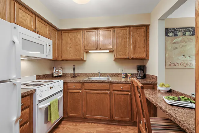 $59,500 | 10300 Village Cir Drive, Unit 4407, Palos Park, IL 60464