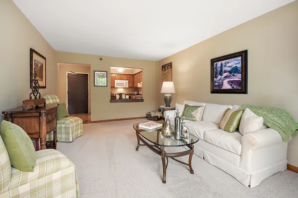 $59,500 | 10300 Village Cir Drive, Unit 4407, Palos Park, IL 60464
