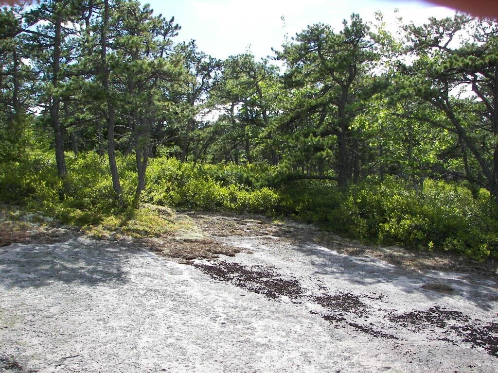 23 Loud's Pit Road Vinalhaven, ME 04863 - Photo 6 of 17 Photo