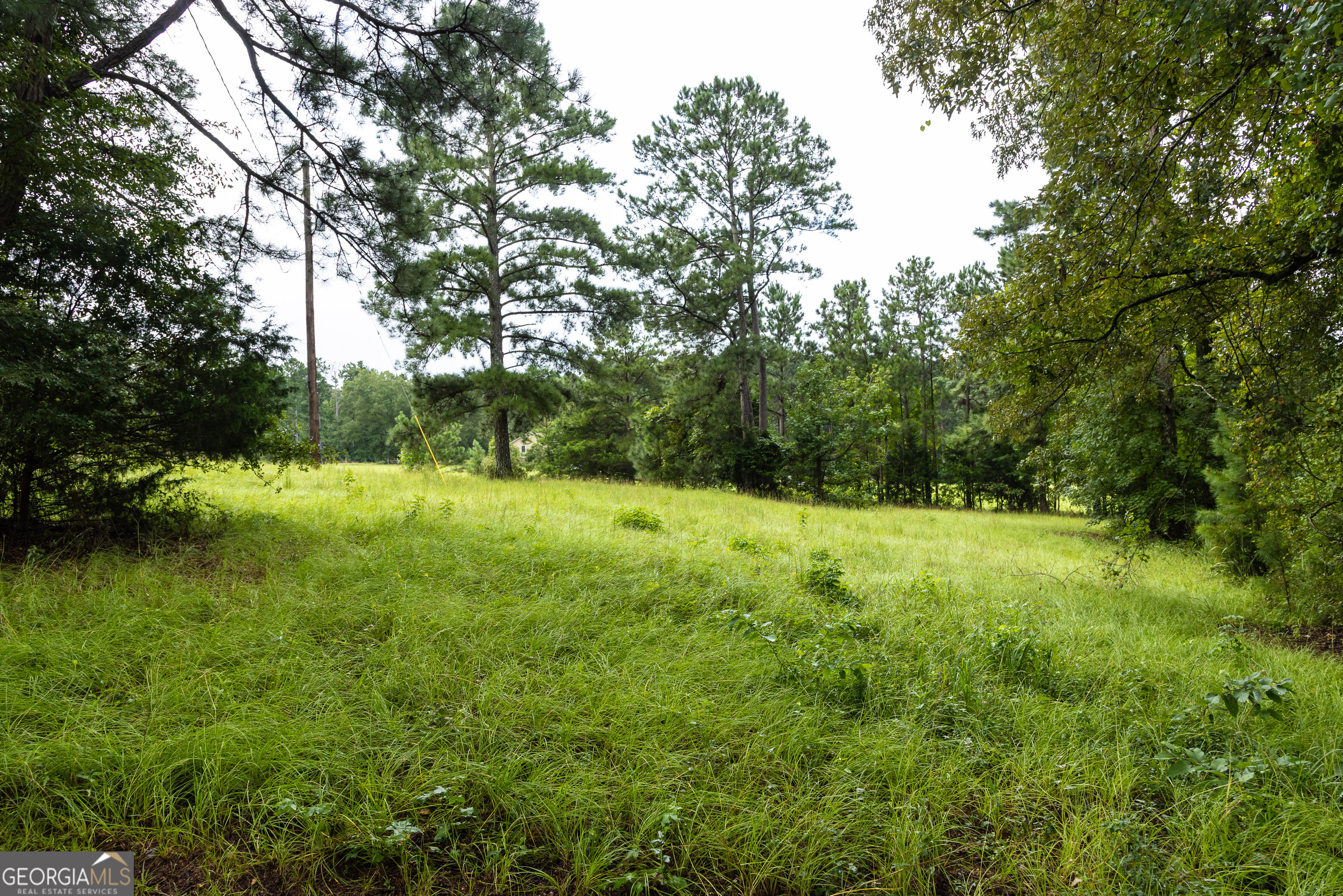 976 Windsweep Farm Road Thomaston, GA 30286 - Photo 56 of 98