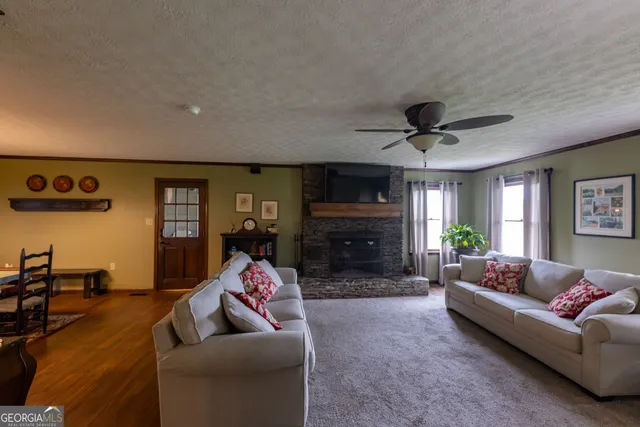 a living room with furniture a lamp and a potted plant