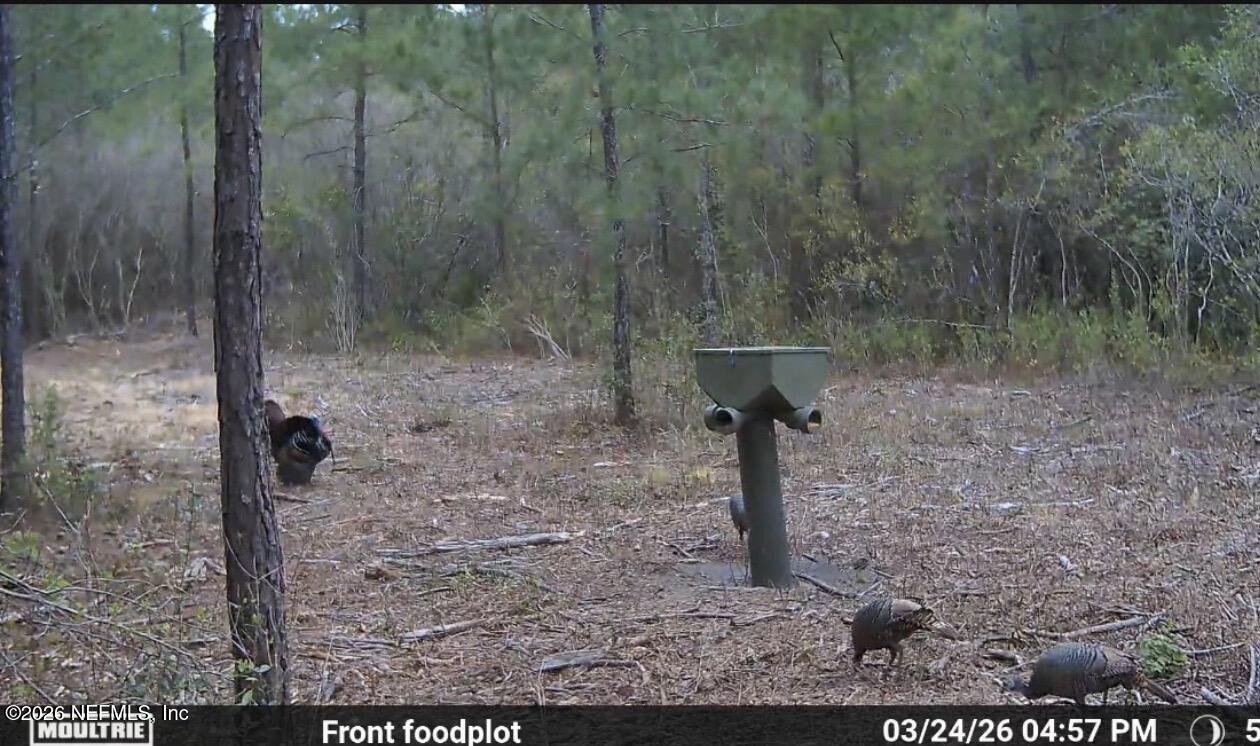 O Lazy Pines Road Glen St. Mary, FL 32040 - Photo 11 of 20 a view of a wooden fence