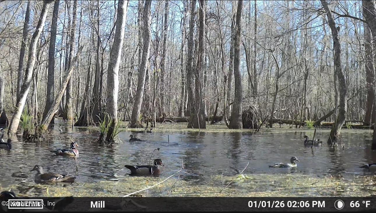 O Lazy Pines Road Glen St. Mary, FL 32040 - Photo 12 of 20