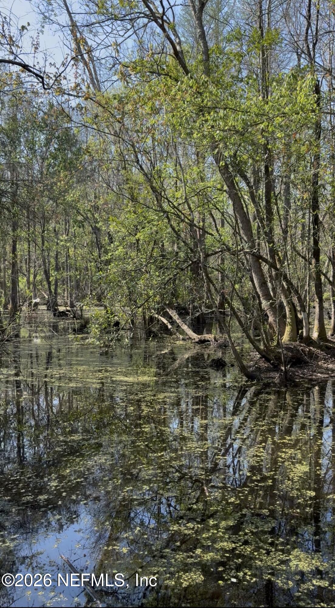 O Lazy Pines Road Glen St. Mary, FL 32040 - Photo 16 of 20