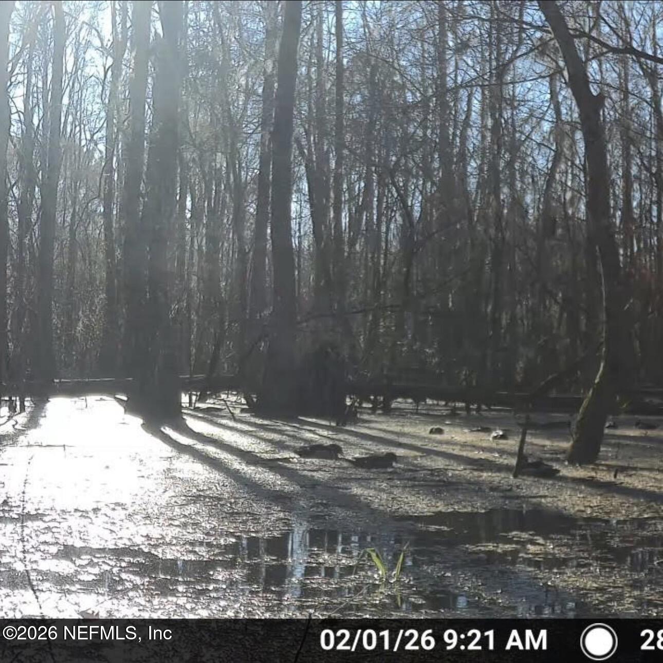 O Lazy Pines Road Glen St. Mary, FL 32040 - Photo 17 of 20 a view of water heater with trees in the background