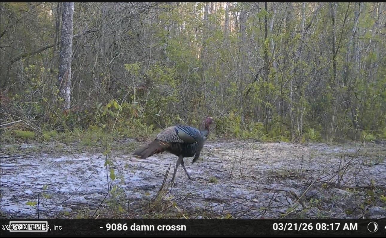 O Lazy Pines Road Glen St. Mary, FL 32040 - Photo 20 of 20