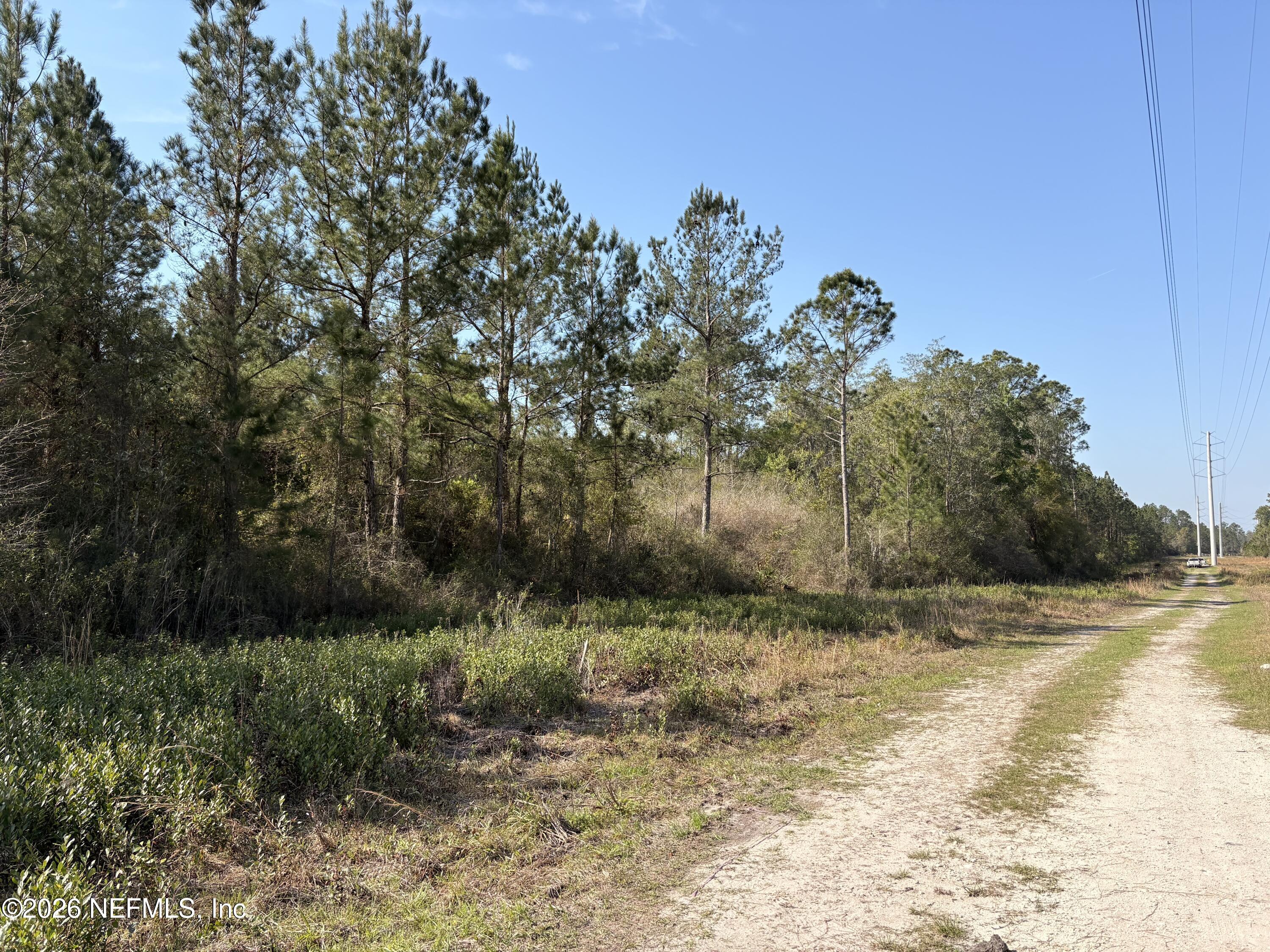 O Lazy Pines Road Glen St. Mary, FL 32040 - Photo 6 of 20 a view of a yard with a tree