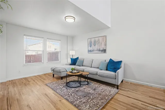 a living room with furniture and a rug