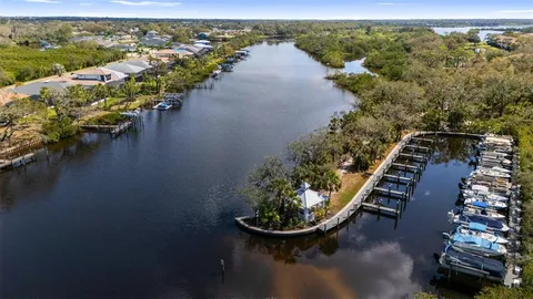 an aerial view of residential houses with outdoor space and trees