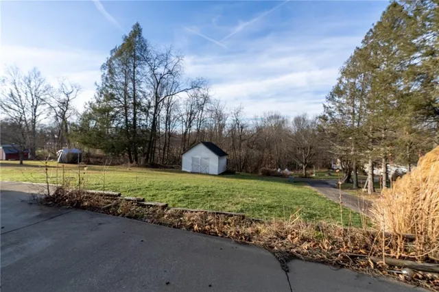 a view of a park with large trees