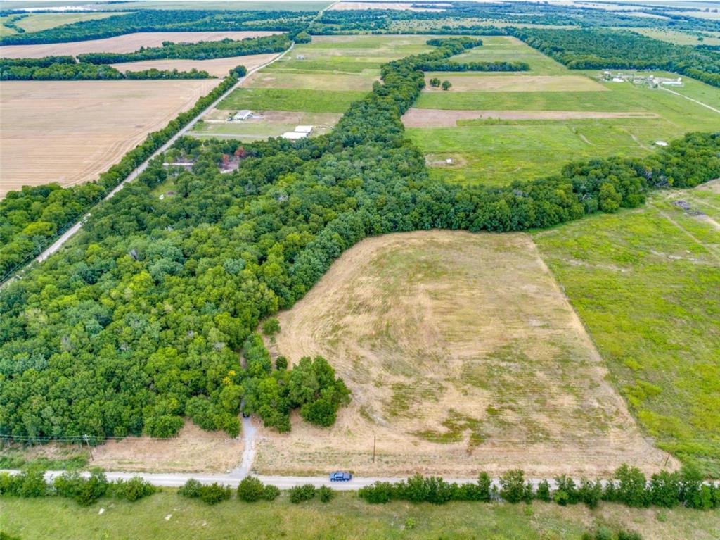 3805 County Road Wolfe City, TX 75496 - Photo 8 of 13 Expansive acreage featuring a mix of mature wooded areas and open fields
