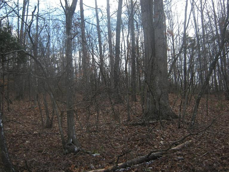 2400 Vance Road Salt Lick, KY 40371 - Photo 1 of 1 Photo 1