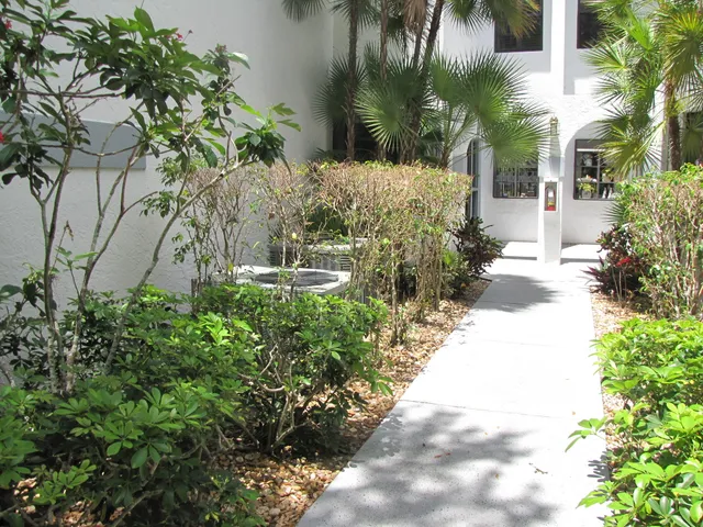 a view of a yard with plants